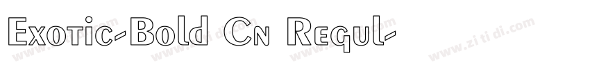 Exotic-Bold Cn Regul字体转换